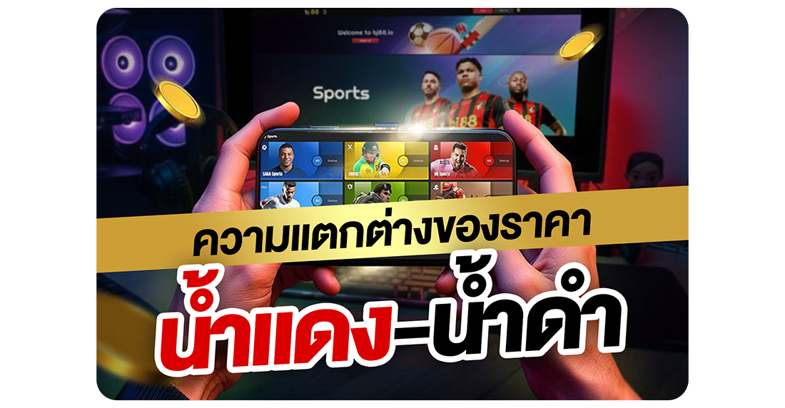 ความแตกต่างของราคาน้ำแดง-น้ำดำ คืออะไร? วิธีคิดค่าน้ำ คำนวณกำไร–ขาดทุนแบบง่าย 2025